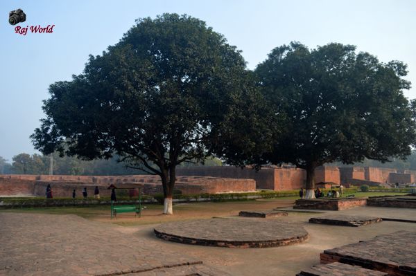 Ruins of Nalanda