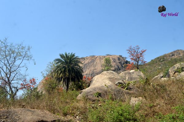 Kansra Hills