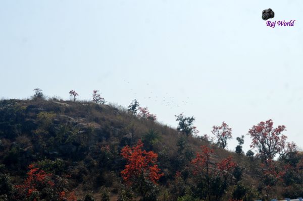Ajodhya Hills