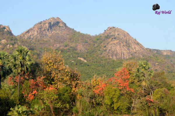 Ajodhya Hill