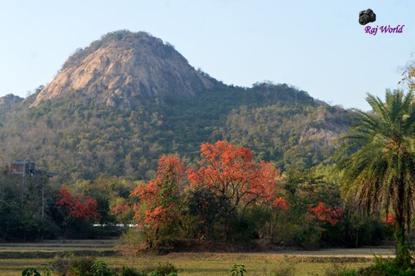 Ajodhya Hill