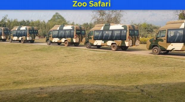 Zoo Safari Part 1