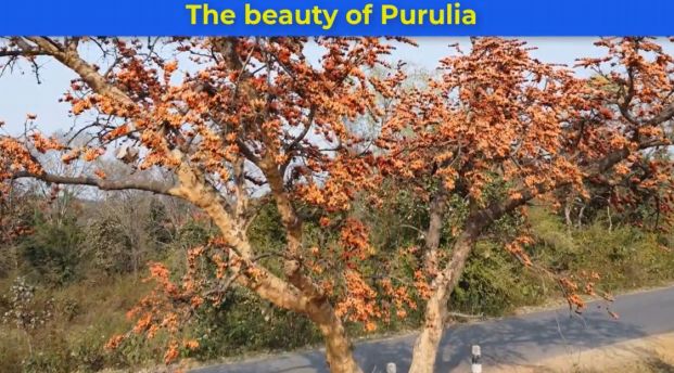The beauty of Purulia