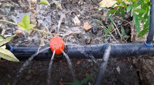 Drip Irrigation System